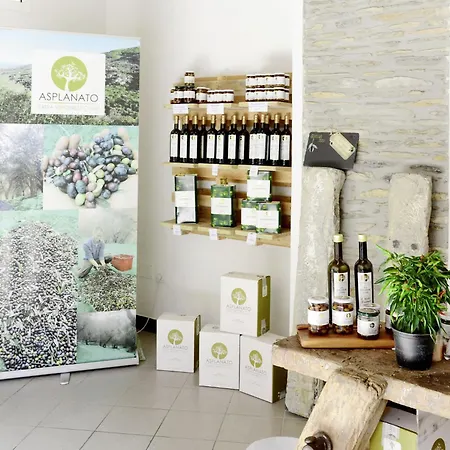 Asplanato - Dol166 By Interhome * Lecchiore